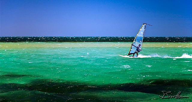 IMG_2358-Edit.jpg - Surfer at penguin island south of perth