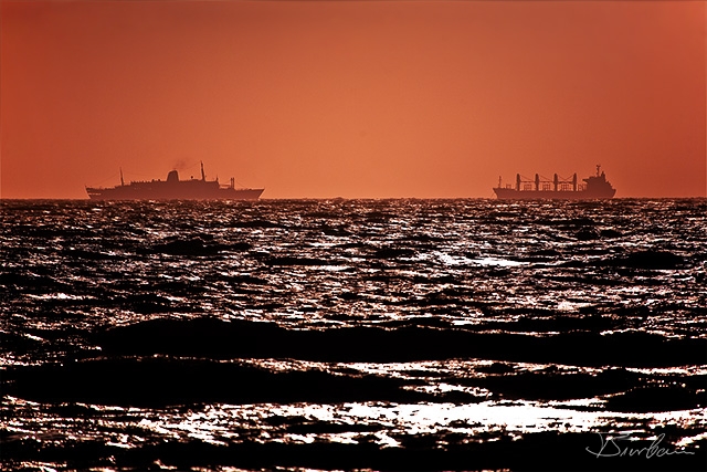 IMG_2563-Edit.jpg - West coast Australia