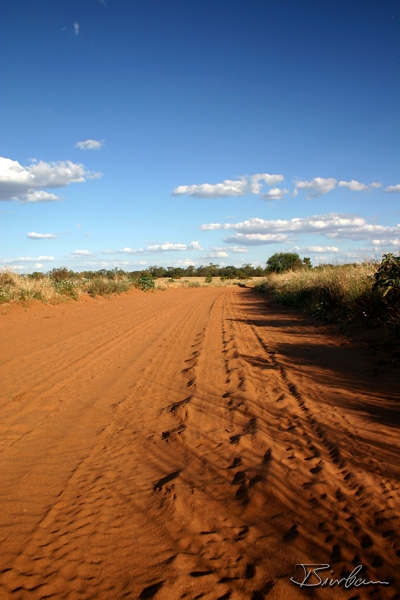 Landschaft8.jpg - 2003, Australia, sandy road in the outback